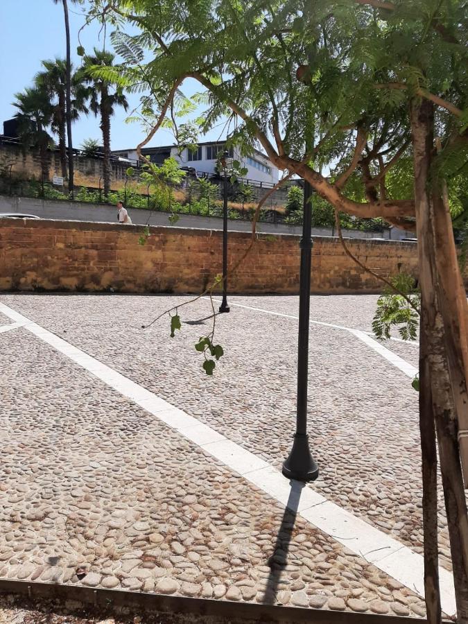 Apartament A Due Passi Dalla Cattedrale Palermo Zewnętrze zdjęcie